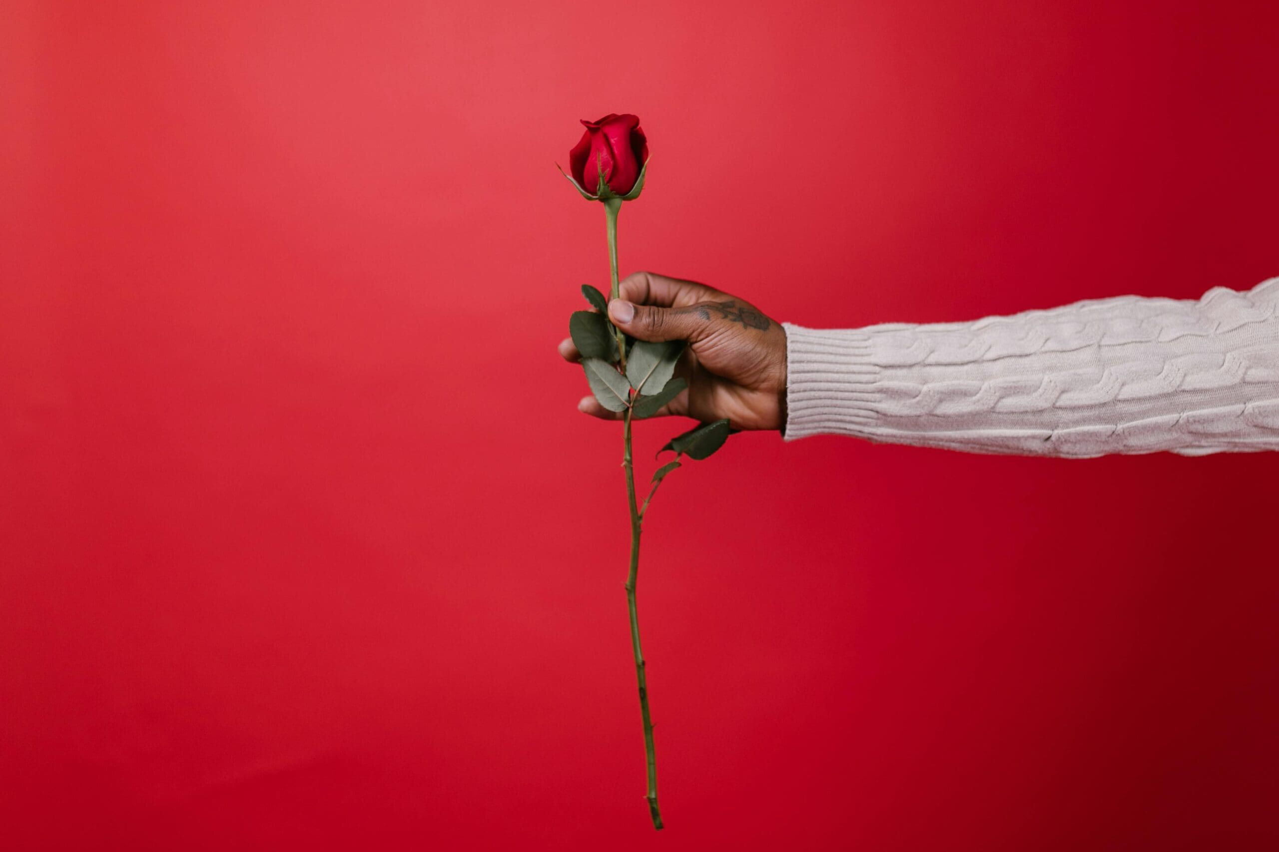 Hand holding a single red rose against a red background, symbolizing romantic idealization and relationship expectations